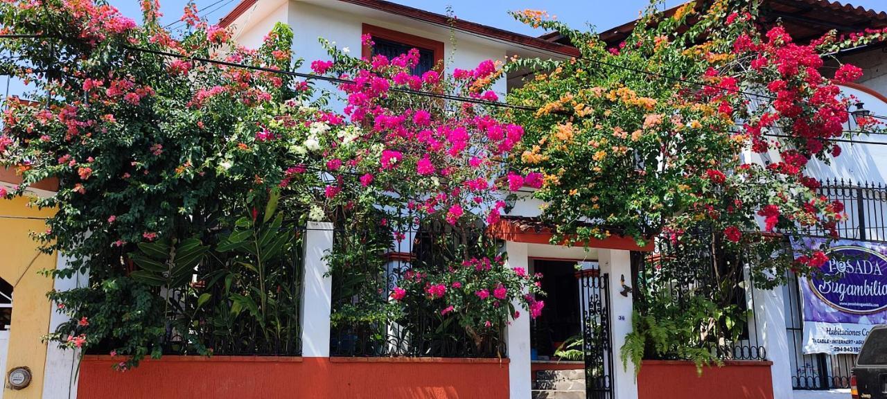 Posada Bugambilias Catemaco Εξωτερικό φωτογραφία